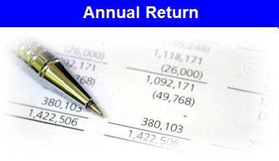 Annual Return Icon